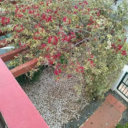 The South Sunny House - A Casa A Sul Olhão